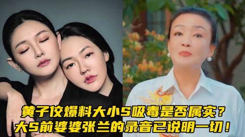 张兰最新爆料大s录音,真相大白，豪门恩怨再掀波澜