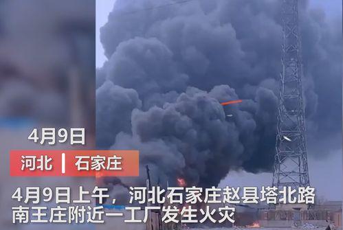 王庄最新爆料消息视频播放,视频揭秘事件真相，精彩瞬间不容错过