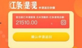 深圳网友爆料最新,最新事件引发热议！