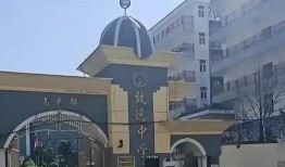 致远中学爆料事件最新,真相揭开，校园风云再起