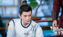 刘大锤最新爆料丁禹兮,丁禹兮神秘事件真相揭晓