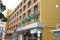 夏湾宠物街最新爆料,独家爆料揭秘宠物街最新潮流趋势