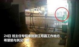 苟晶最新爆料视频,揭露教育不公背后的惊人真相