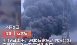 王庄最新爆料消息视频播放,视频揭秘事件真相，精彩瞬间不容错过