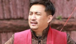 黄磊吃鸡爆料视频大全最新,揭秘明星厨房里的美食传奇