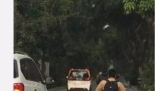 宝骏共享汽车最新爆料,揭秘未来出行新潮流！