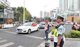 中国交通大爆料最新消息,最新动态揭秘交通变革与挑战