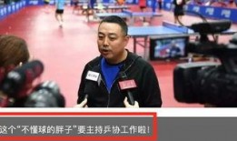 小胖解说最新爆料新闻,最新爆料新闻大揭秘！